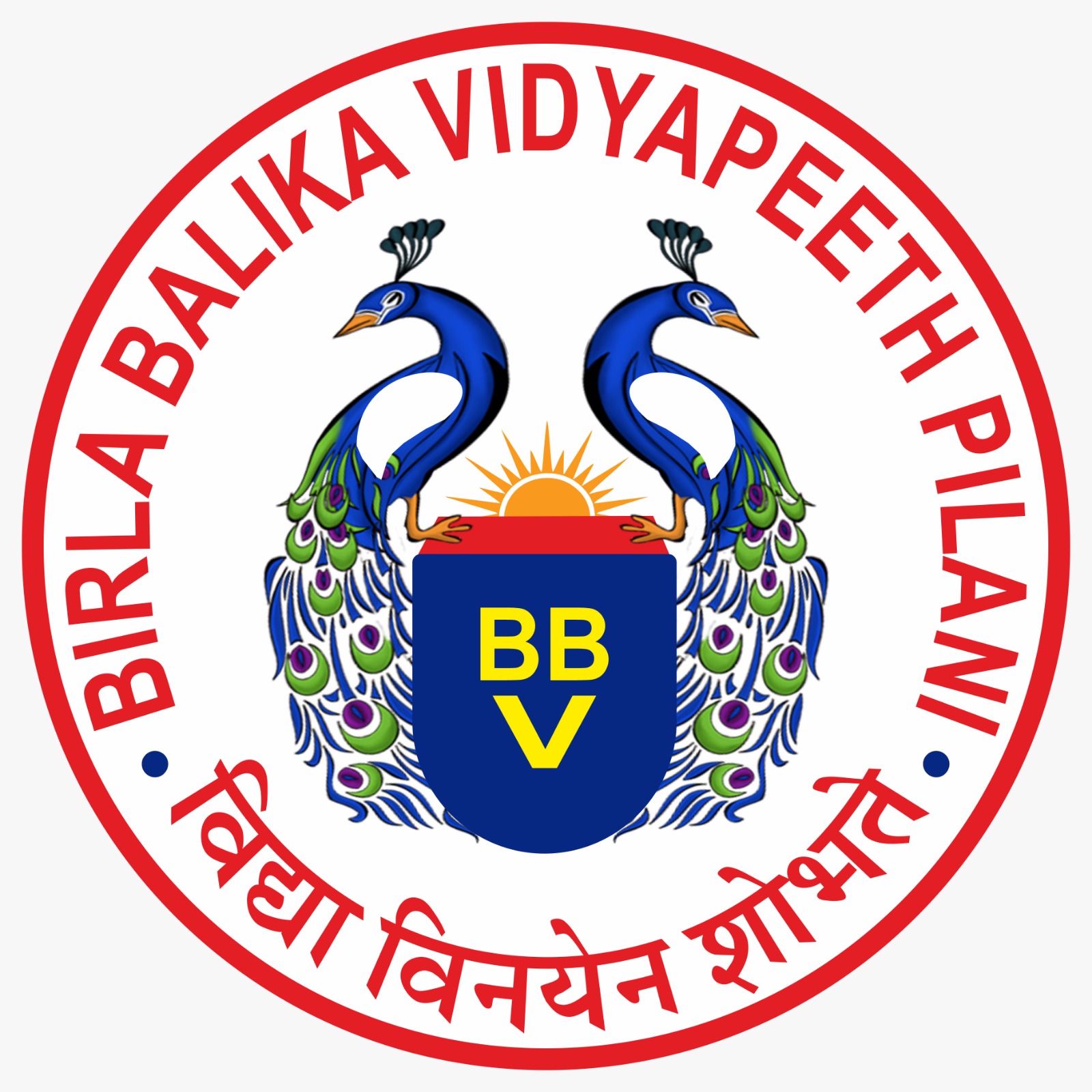 BIRLA BALIKA VIDYAPEETH